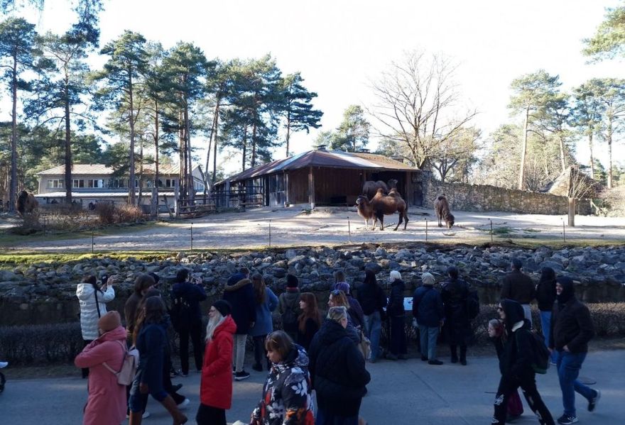"Tas nebija joks!": Rīgas zoodārzā vienas dienas apmeklētāju rekords pārsniegts trīs reizes