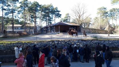 Attēls rakstam: "Tas nebija joks!" Rīgas zoodārzā vienas dienas apmeklētāju rekords pārsniegts trīs reizes