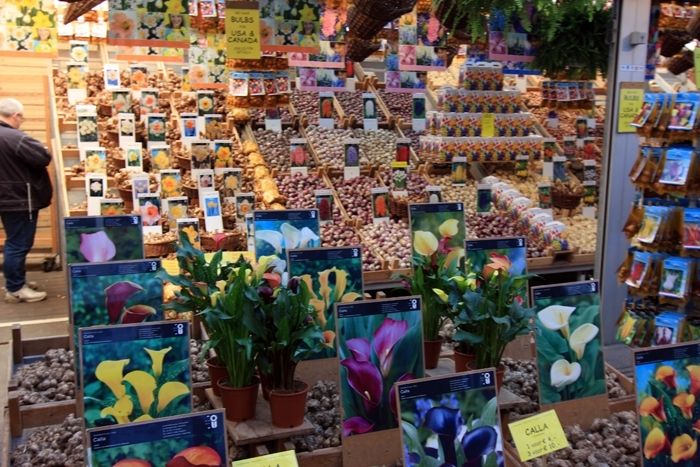 "Tev NEBŪS sēt" jeb Brisele balso par Monsanto diktatūru