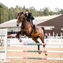 Attēls rakstam: To ir jāredz! Inčukalnā notiks starptautiskas sacensības jāšanas sportā