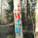 Attēls rakstam: Top pārgājienu maršruts "Baldones stāstu takas"