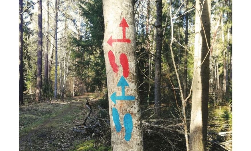 Top pārgājienu maršruts "Baldones stāstu takas"