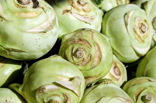 Top3 aizmirstie dārzeņi Latvijā: rāceņi, kolrābji un kāļi