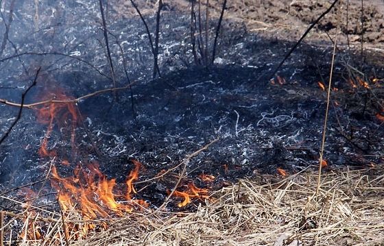 Triju dienu laikā Pierīgā fiksēti 17 kūlas ugunsgrēki