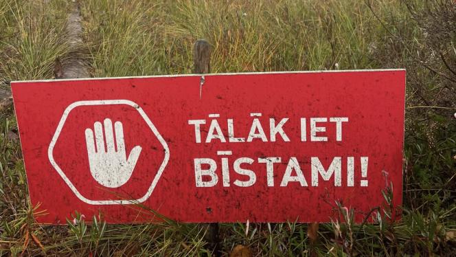 Attēls rakstam: Tur nejauši var kļūt laimīgāks! Mārupē turpinās sajūsma par Medema purva taku