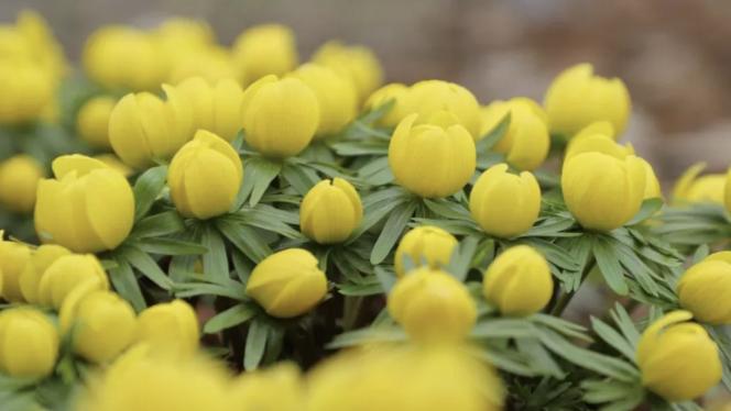 Attēls rakstam: Tuvākajās dienās laika apstākļi kļūs arvien patīkamāki