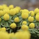 Attēls rakstam: Tuvākajās dienās laika apstākļi kļūs arvien patīkamāki