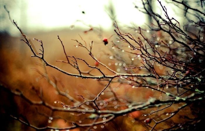 Tuvākajās dienās Latvijā būs nokrišņi un vēja brāzmas