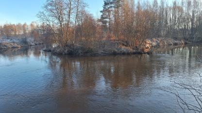 Attēls rakstam: Ūdens līmenis Gaujā pie Siguldas un Carnikavas strauji svārstās, upēs visā Latvijā turpinās kāpums