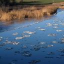 Attēls rakstam: Ūdens līmenis upēs galvenokārt pazeminās