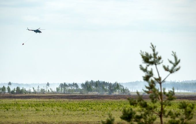 Ugunsgrēks Ādažu poligonā: cilvēki un būves nav cietušas, dabas vērtības gan