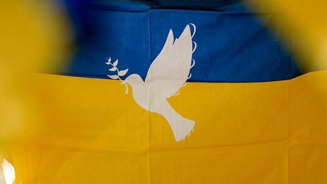 Attēls rakstam: Ukraiņu pieredze un kopienas spēks: Ropažu novadā aicina uz bezmaksas apmācībām
