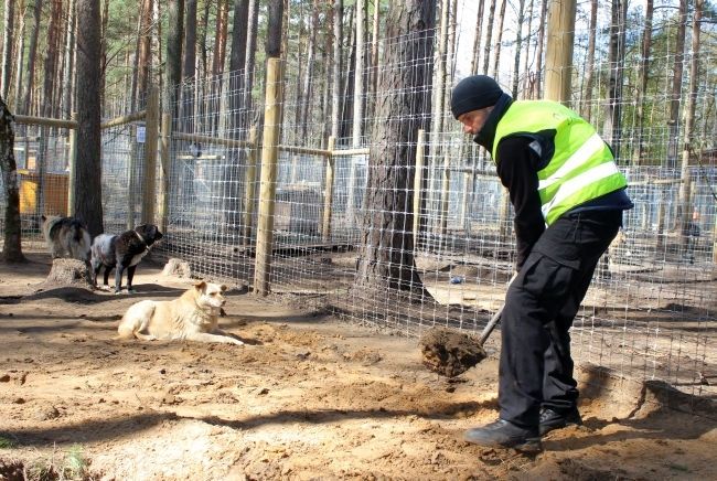 "Ulubelē" talkas laikā uzstāda jaunu suņu voljeru. Lielā talka Pierīgā III