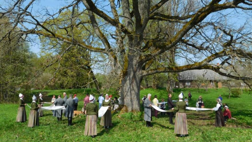 Attēls rakstam: Ūsiņdienas talkā Mores pagastā varēs iepazīt dabas vērtības, klausīties teikas un dancot