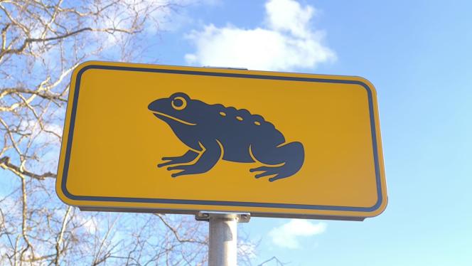 Attēls rakstam: Uz ceļiem daudzviet redzamas jaunas zīmes. Kā rīkoties, tādu ieraugot?