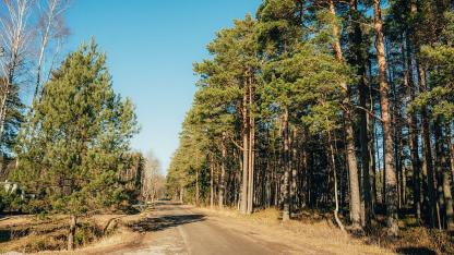 Attēls rakstam: Uz laiku slēgta satiksme Noliktavas ielas posmā Saulkrastos