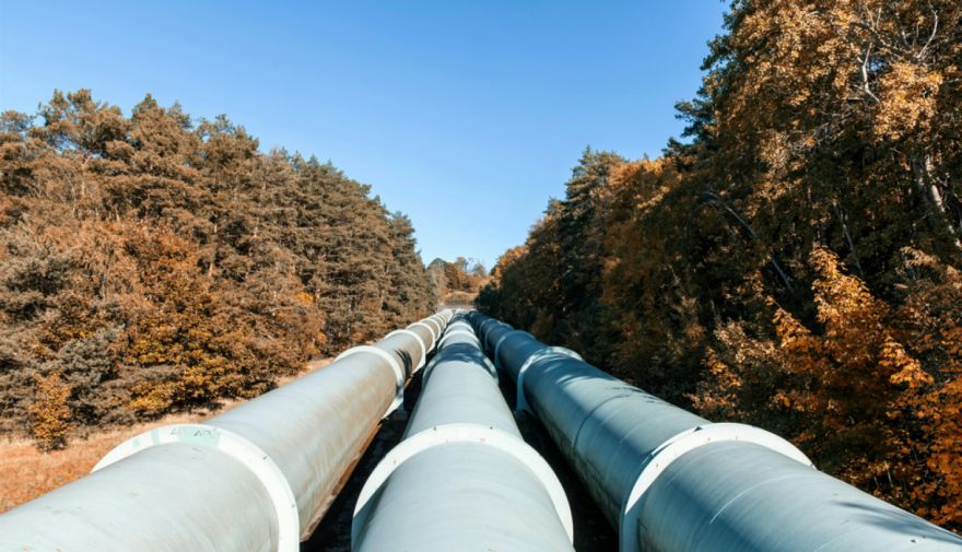 Vai kūtsmēsli aizstās dīzeļdegvielu? Zaļajā kursā meklē jēdzīgas alternatīvas