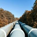 Attēls rakstam: Vai kūtsmēsli aizstās dīzeļdegvielu? Zaļajā kursā meklē jēdzīgas alternatīvas