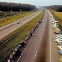 Attēls rakstam: Vai spētu vēlreiz sadoties rokās? Iedzīvotāji par Baltijas ceļu