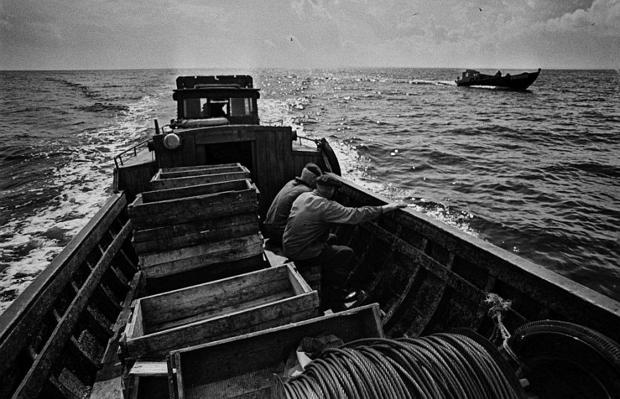 Vakar smēlām jūru, cik jaudājām, šodien mencas raud (nobeigums)