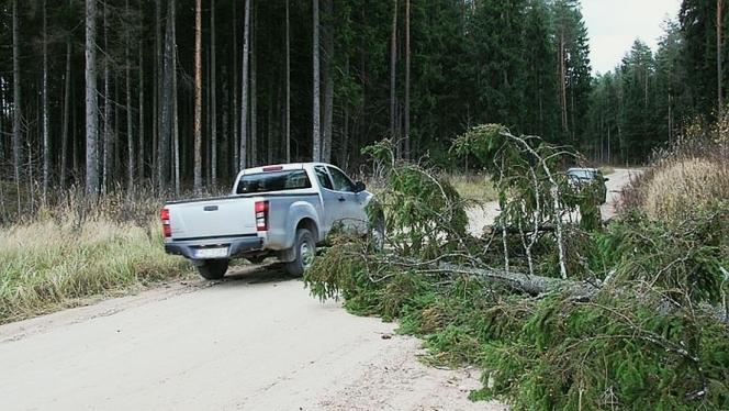 Attēls rakstam: Vējš vietām lauzis kokus un atrāvis ēku konstrukcijas