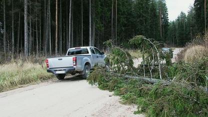 Attēls rakstam: Vējš vietām lauzis kokus un atrāvis ēku konstrukcijas