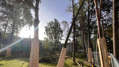 Attēls rakstam: Vēsturiska ēka un jauns korpuss – Jūrmalā sāk veidot skolu 380 bērniem
