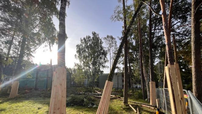 Attēls rakstam: Vēsturiska ēka un jauns korpuss – Jūrmalā sāk veidot skolu 380 bērniem