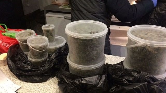 VID aizturējis bruņotu marihuānas audzētāju grupējumu, konfiscējot 23 kilogramus marihuānas