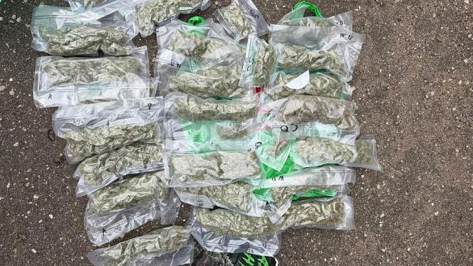 Attēls rakstam: Video: Pierīgas mežā ar narkotikām aizturēts jaunietis; policija atsavinājusi deviņus kilogramus marihuānas