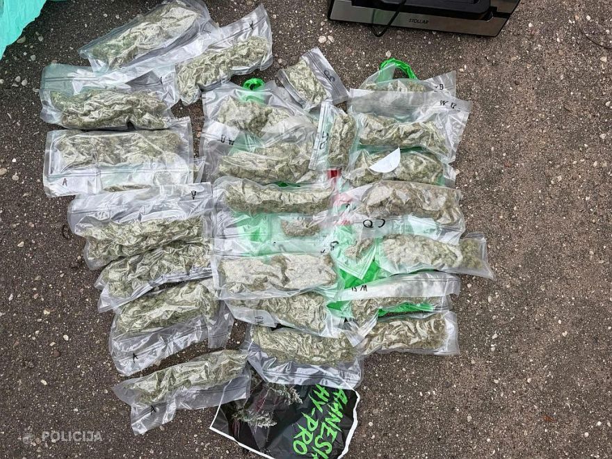 Video: Pierīgas mežā ar narkotikām aizturēts jaunietis; policija atsavinājusi deviņus kilogramus marihuānas