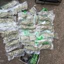 Attēls rakstam: Video: Pierīgas mežā ar narkotikām aizturēts jaunietis; policija atsavinājusi deviņus kilogramus marihuānas