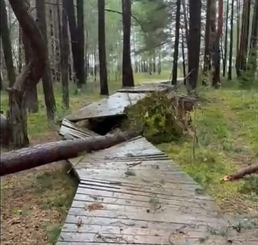 VIDEO: Saulkrastu novadā vētrā sagāztie koki uzkrituši mājām, automašīnām un elektrolīnijām