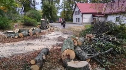 Attēls rakstam: VIDEO: Zāģēja bīstamus kokus, bet saņēma izsaukumu: Krimuldas ugunsdzēsēji atgādina par dūmvadu tīrīšanu