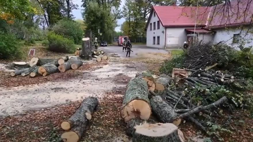Attēls rakstam: VIDEO: Zāģēja bīstamus kokus, bet saņēma izsaukumu: Krimuldas ugunsdzēsēji atgādina par dūmvadu tīrīšanu