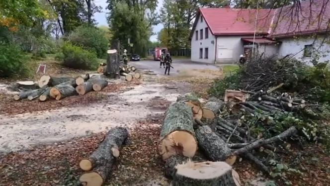 Attēls rakstam: VIDEO: Zāģēja bīstamus kokus, bet saņēma izsaukumu: Krimuldas ugunsdzēsēji atgādina par dūmvadu tīrīšanu