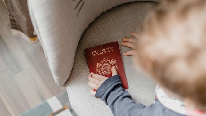 Attēls rakstam: "Viesstrādnieka statuss un pilsonība nav viens un tas pats." Ļaudis spriež, par kādiem nopelniem svešzemniekam var piešķirt pilsonību