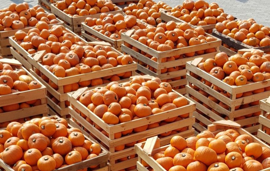 Vietējo produktu apmēra palielināšanai tirdzniecībā un ēdināšanā būs pieejams 12,5 miljonu eiro atbalsts