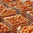 Attēls rakstam: Vietējo produktu apmēra palielināšanai tirdzniecībā un ēdināšanā būs pieejams 12,5 miljonu eiro atbalsts