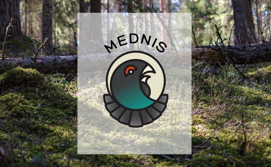 VMD aicina ziņot par savvaļas dzīvnieku postījumiem lauksaimniecībā un mežsaimniecībā