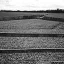 Attēls rakstam: Voldemārs Lauciņš: Pirmslieldienu laikam vispiemērotākie jautājumi