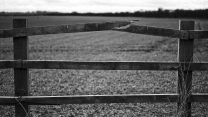 Attēls rakstam: Voldemārs Lauciņš: Pirmslieldienu laikam vispiemērotākie jautājumi