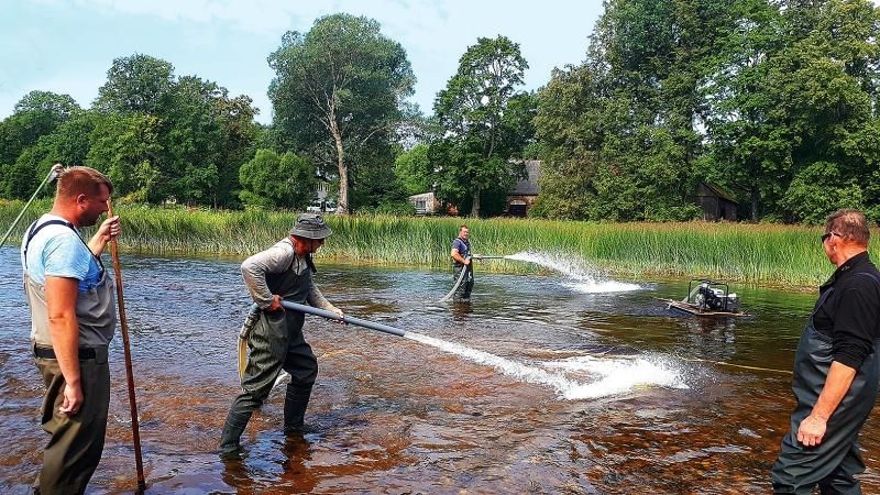 Zivju paaudzes mūsu iekšējos ūdeņos